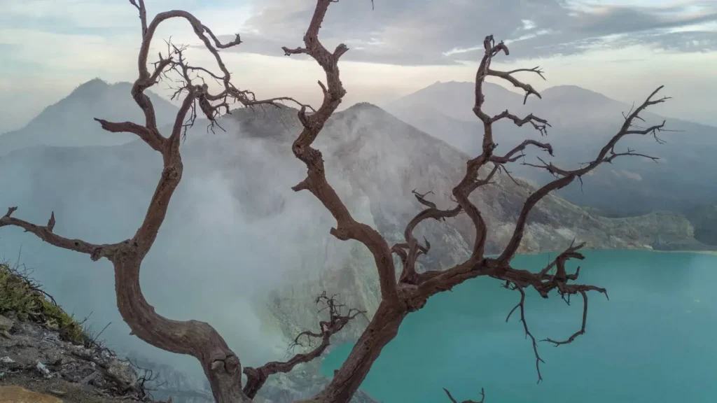 Kawah Ijen (Source: Google Maps | Astral Fire)