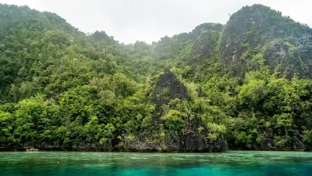Yapap Misool di Raja Ampat | Raja Ampat Tour | IndonesiaJuara Trip
