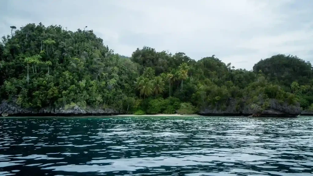 Yapap di Misool Raja Ampat | Raja Ampat Tour | IndonesiaJuara Trip