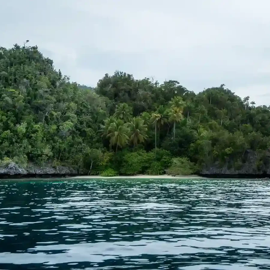 Yapap di Misool Raja Ampat | Raja Ampat Tour | IndonesiaJuara Trip