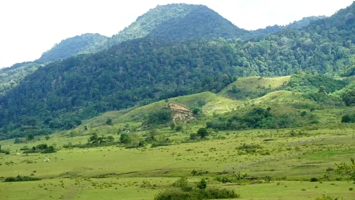 Desa Padang Lenyek (Source: travel.detik.com)