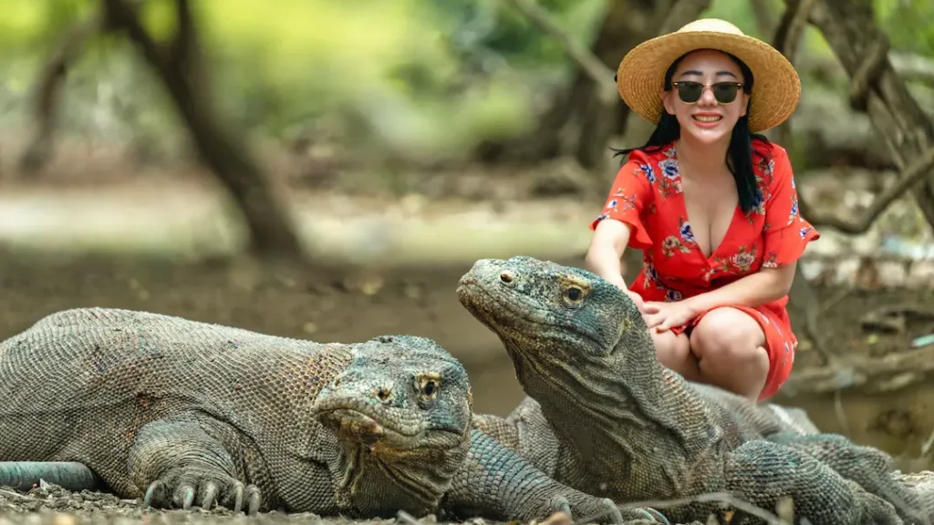 Foto Bersama Komodo | Labuan Bajo Tour | IndonesiaJuara Trip
