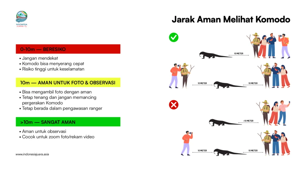 Jarak Aman Melihat Komodo | Labuan Bajo Tour | IndonesiaJuara Trip