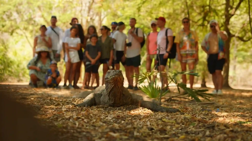 Komodo | Labuan Bajo Tour | IndonesiaJuara Trip