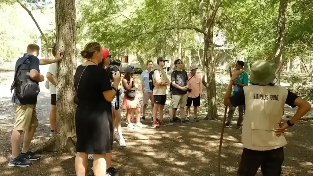 Melihat Komodo Bersama Rangers | Labuan Bajo Tour | IndonesiaJuara Trip