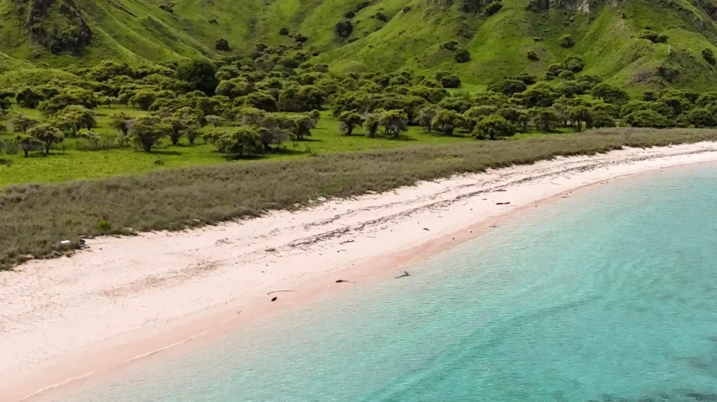 Pink Beach Labuan Bajo | Labuan Bajo Tour | IndonesiaJuara Trip