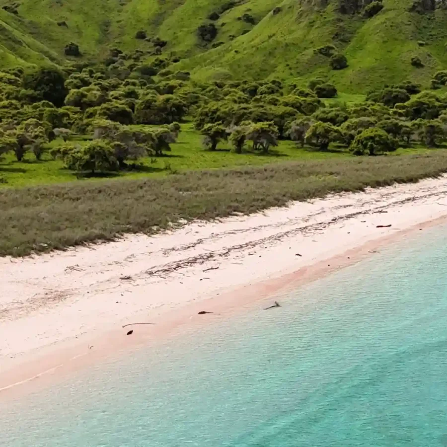 Pink Beach Labuan Bajo | Labuan Bajo Tour | IndonesiaJuara Trip