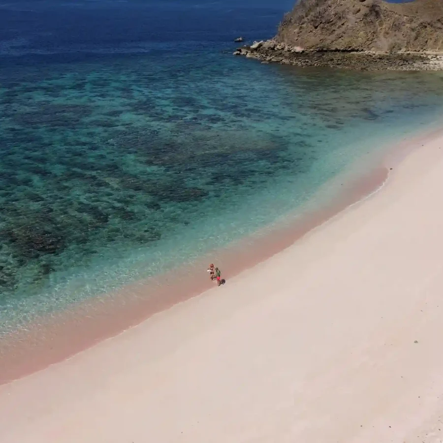 Pink Beach Labuan Bajo | Labuan Bajo Tour | IndonesiaJuara Trip