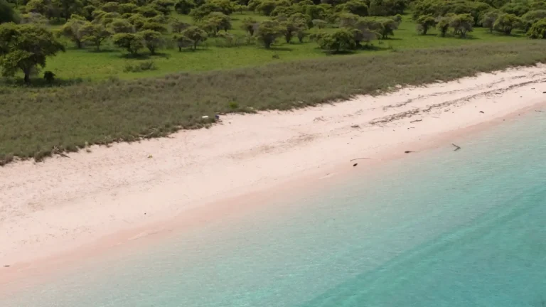 Pink Beach atau Long Beach: Mana Pantai Pasir Pink di Labuan Bajo yang Cocok Untukmu?