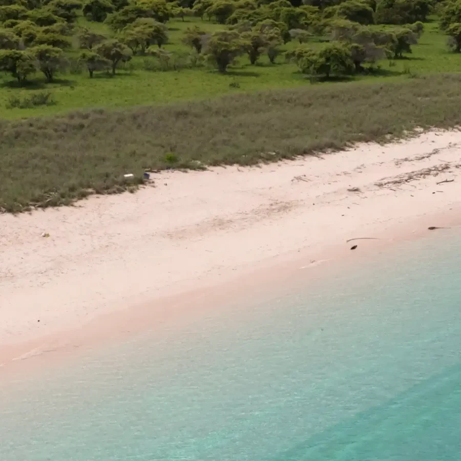 Pink Beach Labuan Bajo | Pantai di Labuan Bajo | Labuan Bajo Tour | IndonesiaJuara Trip