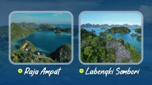 Raja Ampat atau Labengki Sombori | IndonesiaJuara Trip