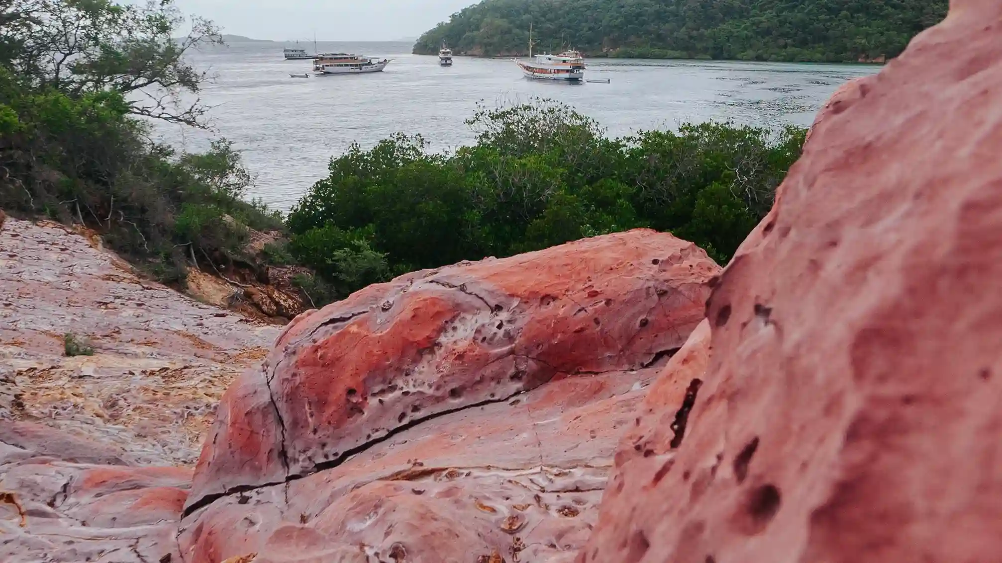 Strawberry Rock Labuan Bajo | Labuan Bajo Tour | IndonesiaJuara Trip