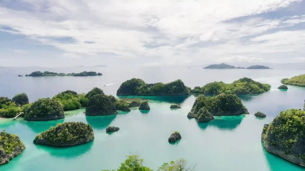 Raja Ampat | Raja Ampat Tour | IndonesiaJuara Trip