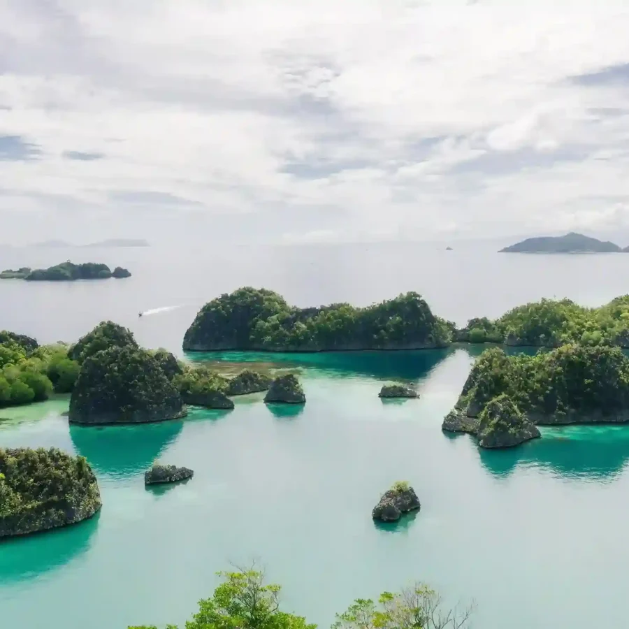 Raja Ampat | Raja Ampat Tour | IndonesiaJuara Trip