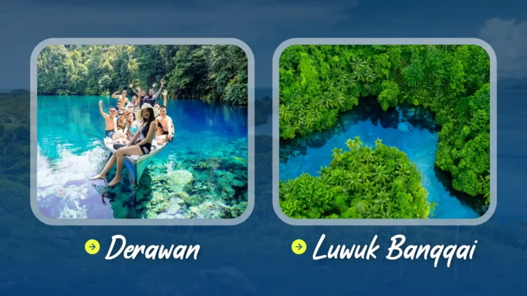 Derawan atau Luwuk Banggai: Mana Destinasi yang Cocok untuk Liburanmu?