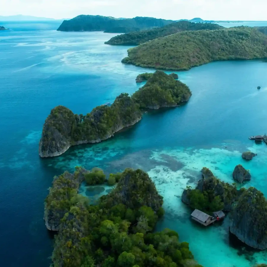 Raja Ampat | Raja Ampat Tour | IndonesiaJuara Trip