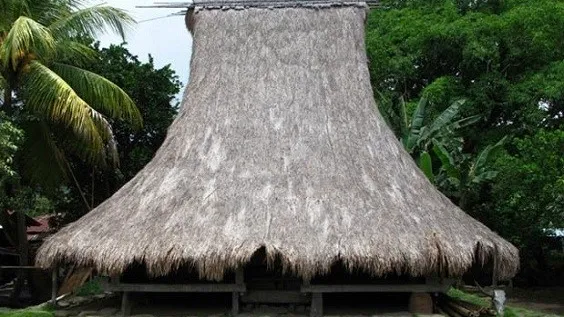 Rumah Adat Musalaki (Source: indonesiatraveler.id)