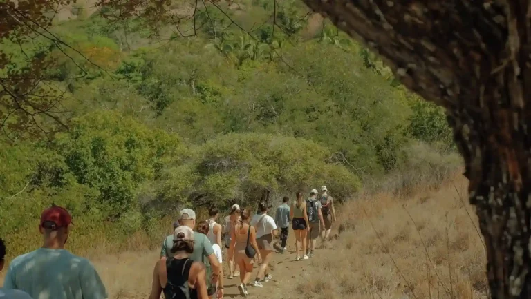 6 Aktivitas Seru di Pulau Komodo yang Wajib Kamu Coba Saat Liburan
