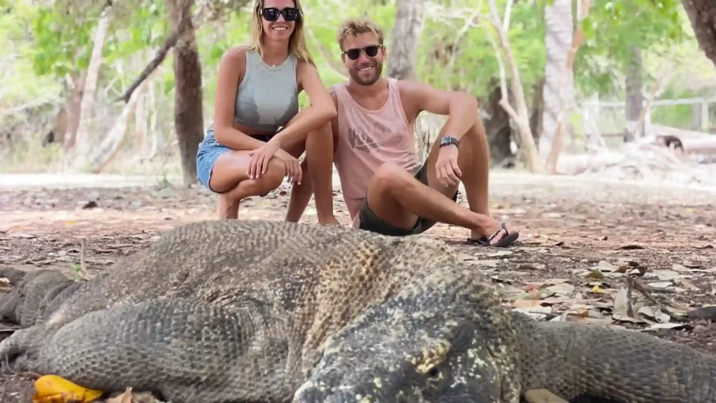 Komodo Dragon | Labuan Bajo Tour | IndonesiaJuara Trip