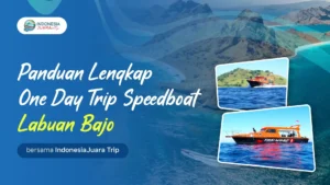 Panduan Lengkap One Day Trip Speedboat Labuan Bajo | IndonesiaJuara Trip