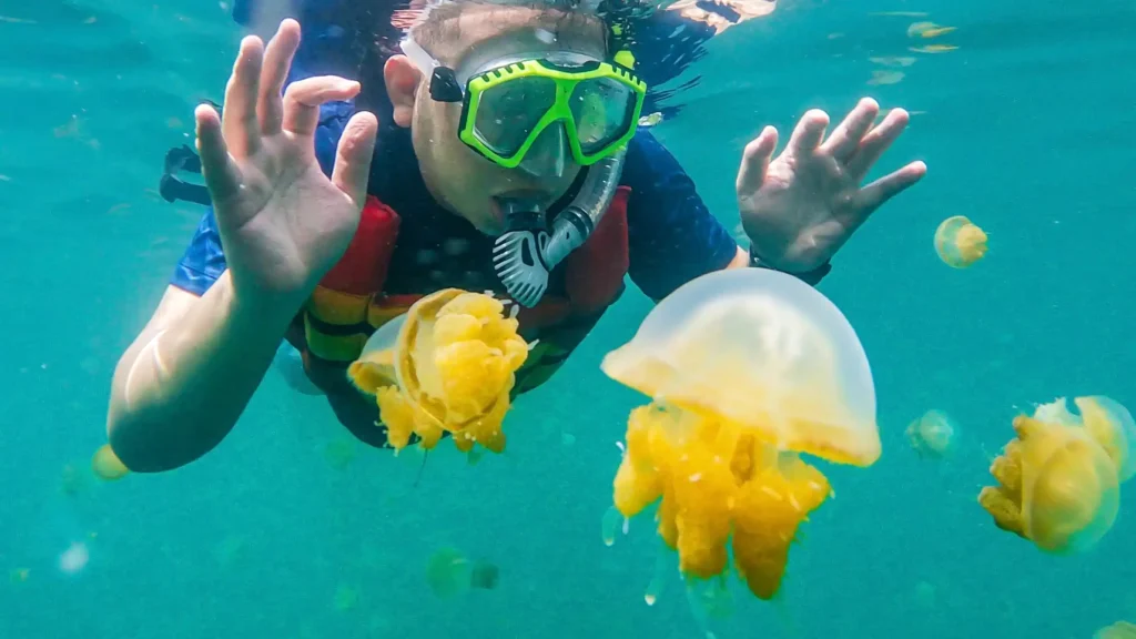 Danau Kakaban Derawan | Derawan Tour | IndonesiaJuara Trip