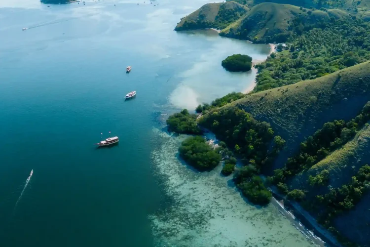 Pulau Manjarite - IndonesiaJuara